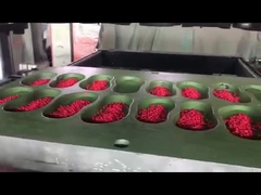 고품질의 EVA 물질 다채로운 덩어리 펠릿 신발 제조